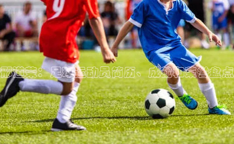 华体会体育首页登录轻美电器邢道荣：足球运动员简历、成就和荣誉盘点