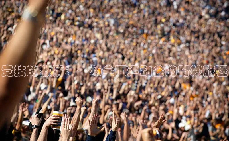 华体体育app官方下载度小满理财竞技的激情：一场全面运动会的奇妙旅程