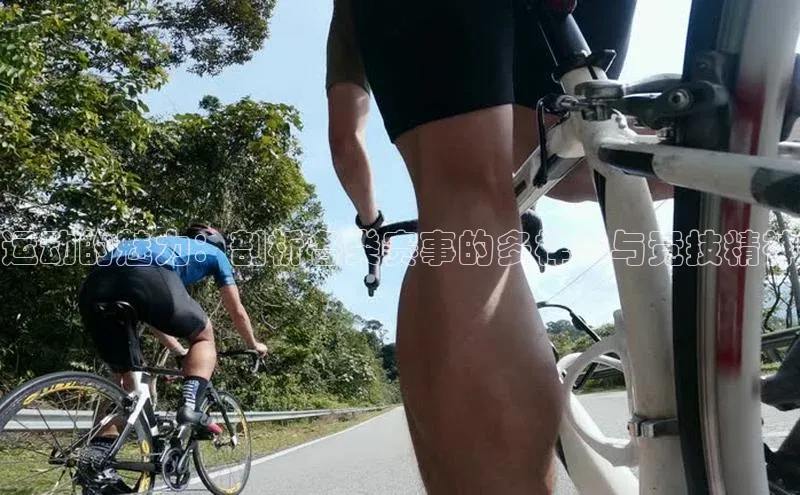 运动的魅力：剖析各类赛事的多样性与竞技精神