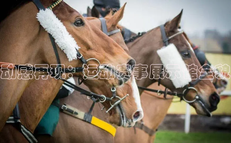 动感再现：运动赛事展示馆全貌