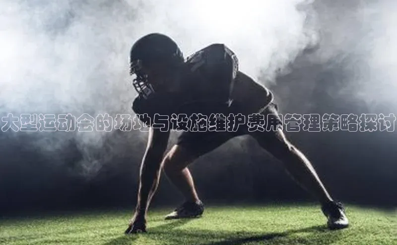 大型运动会的场地与设施维护费用管理策略探讨