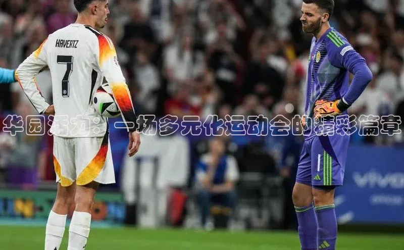 华园活力：一场多元化运动会的精彩篇章