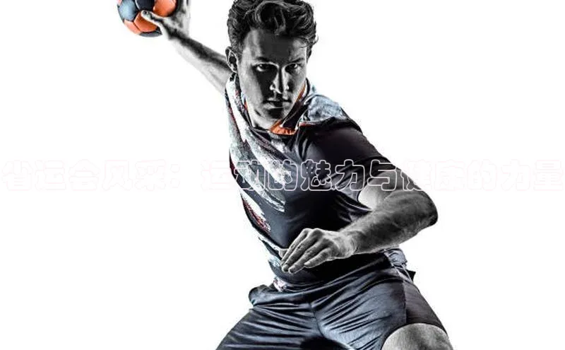 省运会风采：运动的魅力与健康的力量