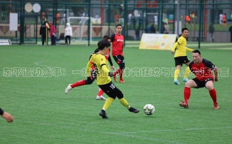 东平运动盛事：一场全面的体育狂欢与健康生活宣言