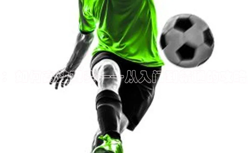 ：如何高效观赛——从入门到精通的攻略