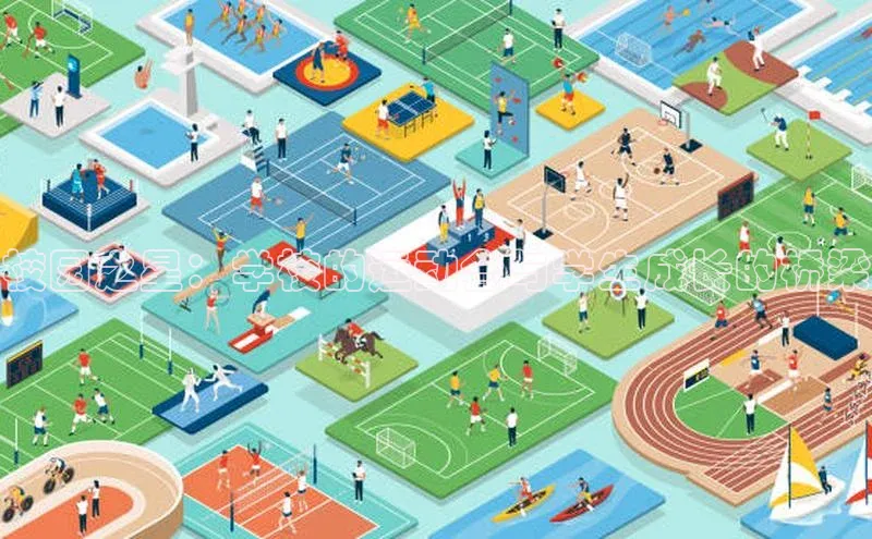 校园之星：学校的运动会与学生成长的桥梁