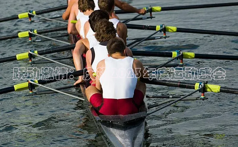 跃动激情：庆祝2023年度运动盛会