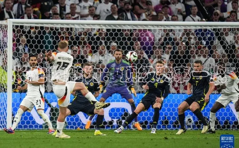 长跑的魅力：顶级赛事一览