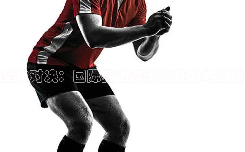 全球对决：国际搏击赛事的魅力与挑战