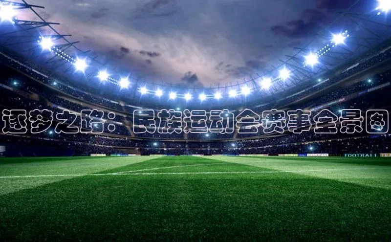 逐梦之路：民族运动会赛事全景图