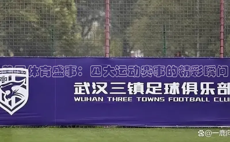 美国体育盛事：四大运动赛事的精彩瞬间