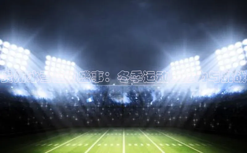 贵州冰雪运动盛事：冬季运动的魅力与挑战