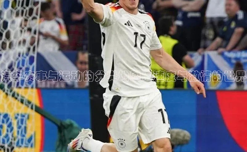 汽车赛事与运动的分类地图：速度与激情的世界