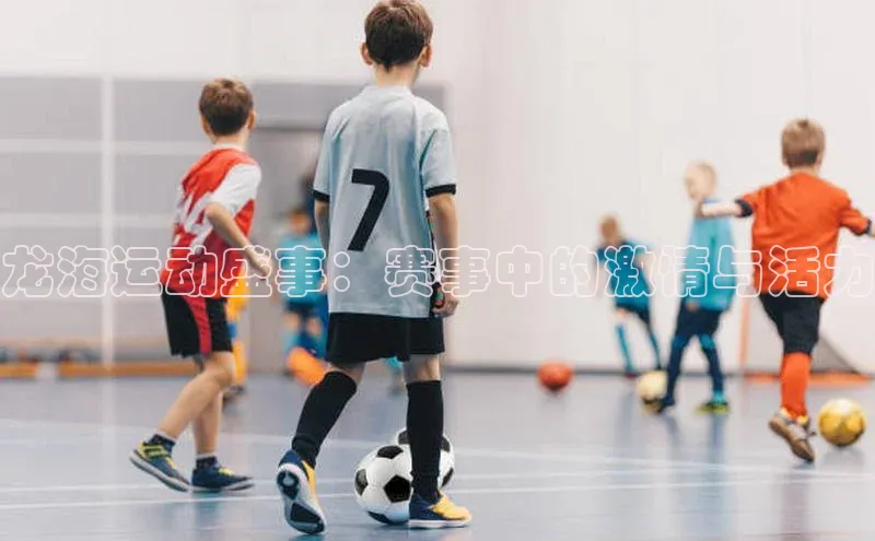龙海运动盛事：赛事中的激情与活力