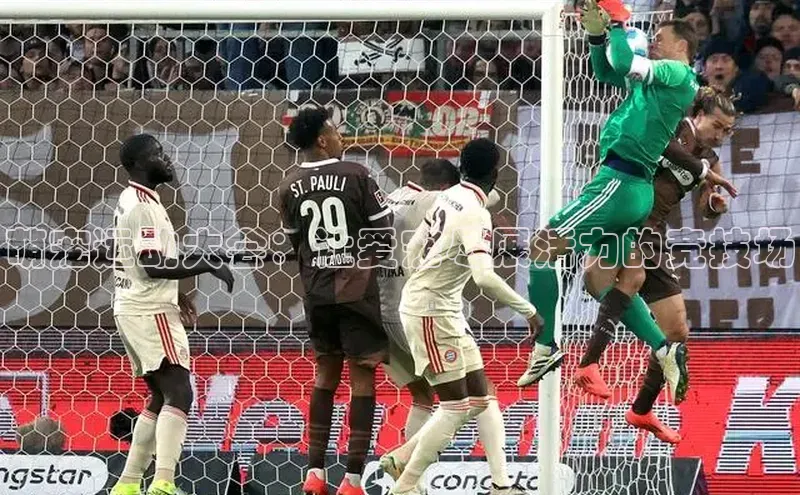 萌宠运动大会：让爱宠尽展活力的竞技场